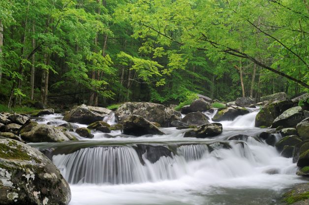 Best easy hikes in smoky outlet mountains