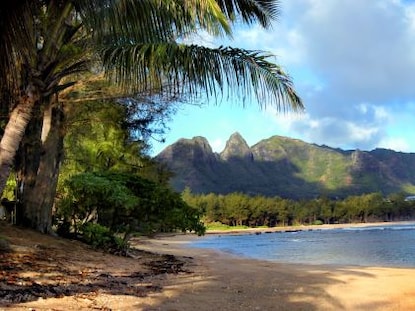 Palm trees by the beach, with a view of the Nounou Mountains forming the Sleeping Giant, on the Eastside of Kaui