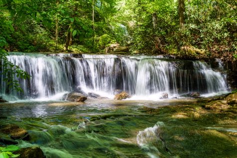 Picturesque waterfall, lush forest, Great Smoky Mountains National Park, Gatlinburg, Tennessee. 