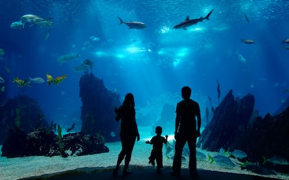 Silhouettes of young family enjoying views of an underwater tank with corals and fish