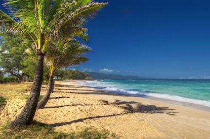 Paia Beach in North Shore, Maui, Hawaii