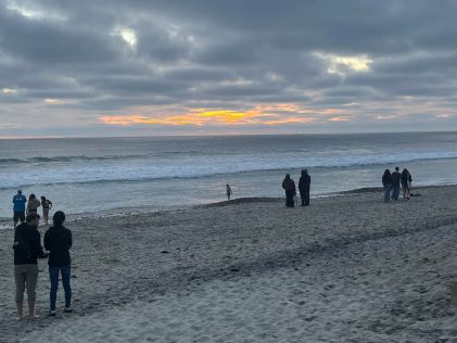 The view of the beach in Carlsbad, California, at sunset