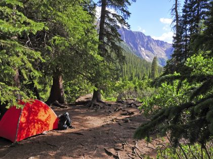 A neon orange camping tent in the woods of the Rocky Mountains near Denver, Colorado
