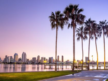 San Diego skyline and palm trees at sunset