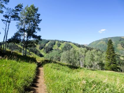 A grassy trail near Park City, Utah, in the summer