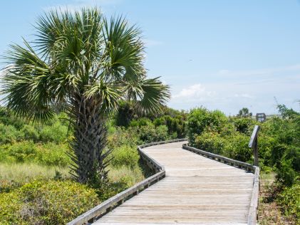 Scenic boardwalk through Myrtle Beach State Park in South Carolina