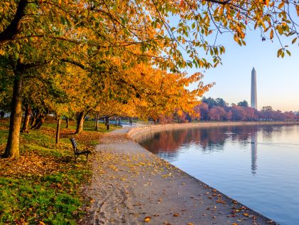 Autumnal trees along the Tidal Basin in Washington, D.C., in view of the Washington Monument