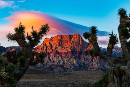 Outdoor Las Vegas area natural landscape at sunset causing a warm orange flow on the red rock. Cactus in the foreground framing the rock formation and a large cloud hangs in the distance highlighted with sunset colors.