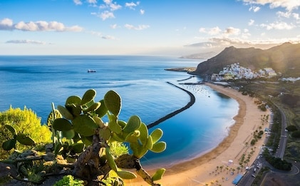 Amazing view of golden shoreline and city beyond. A sunlit cactus is in the foreground and in the distance a ship can be seen in deep blue waters. Beyond the beach, mountain formations can be seen.  Location: Santa Cruz de Tenerife, Tenerife, Canary Islands