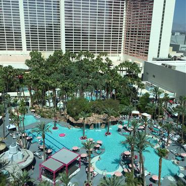 Flamingo Hotel Pool - Flamingo Las Vegas Pool